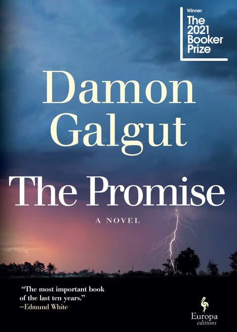 synopsis of the promise damon galgut