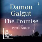 Cover: The Promise - Damon Galgut